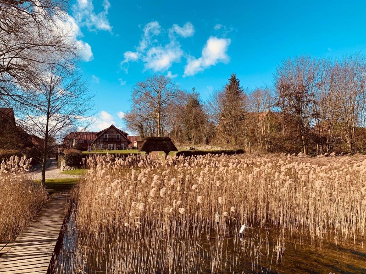 Seehotel Zarrentin Zarrentin am Schaalsee エクステリア 写真